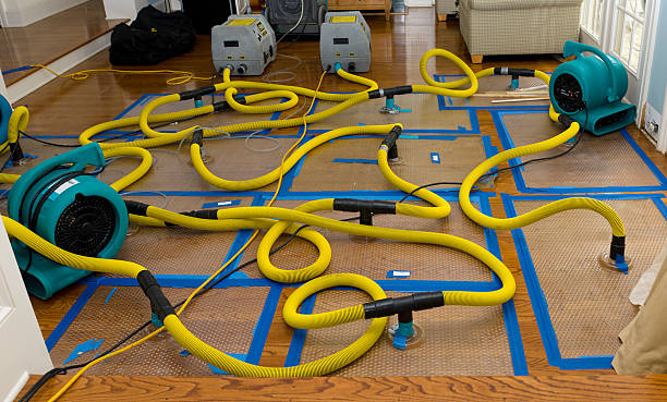 Professional Basement Flood Cleanup technician working in Hertel, WI